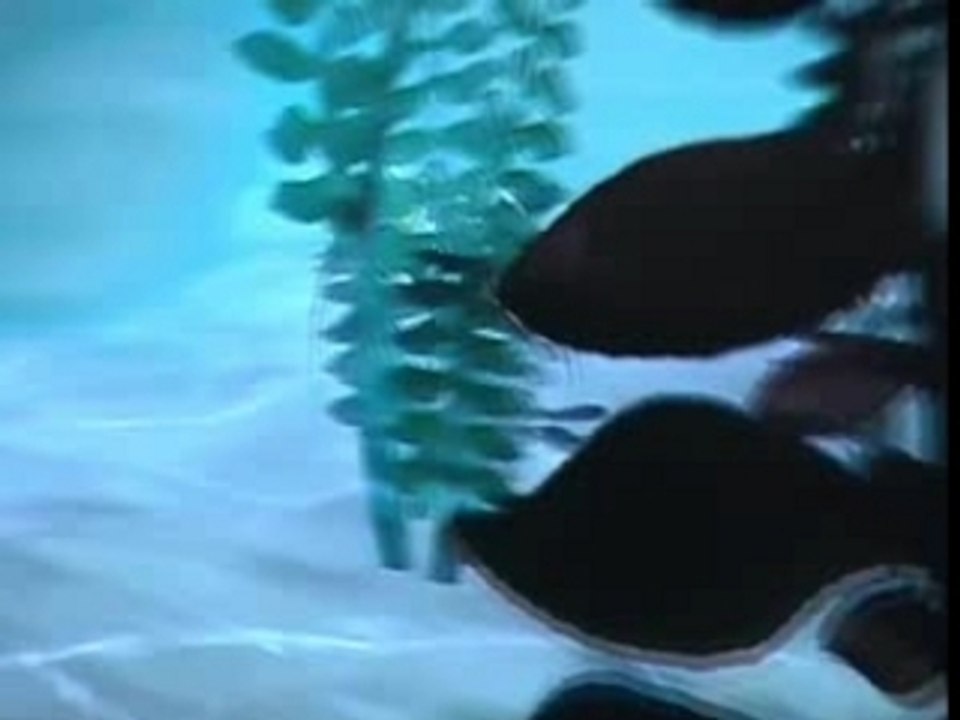 MGS 2007 : Ratchet & Clank : Operation Destruction