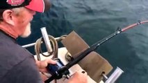 Shark Steals Fish off Fisherman's Line