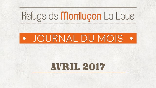 Un mois au refuge : avril 2017