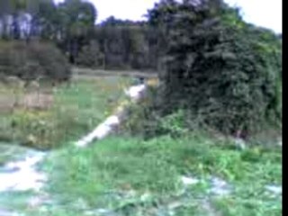 p'tit Saut en dirt
