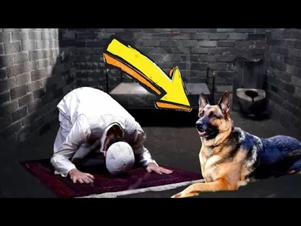 ضابط ارسل كلب شرس ليقتل شيخ وهو يصلى فأنظر ماذا فعل الكلب - سبحان الله.