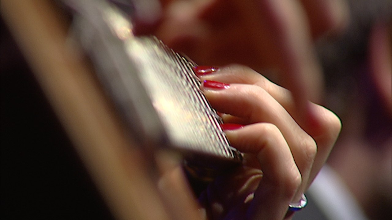 Elodie Frégé - La Fille de l'après midi - Live@APAJH2015