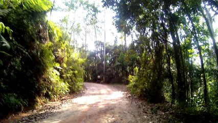 4k, Mtb, Single Track, trilhas da Fazenda Esmeralda, 12 bikers, (95)