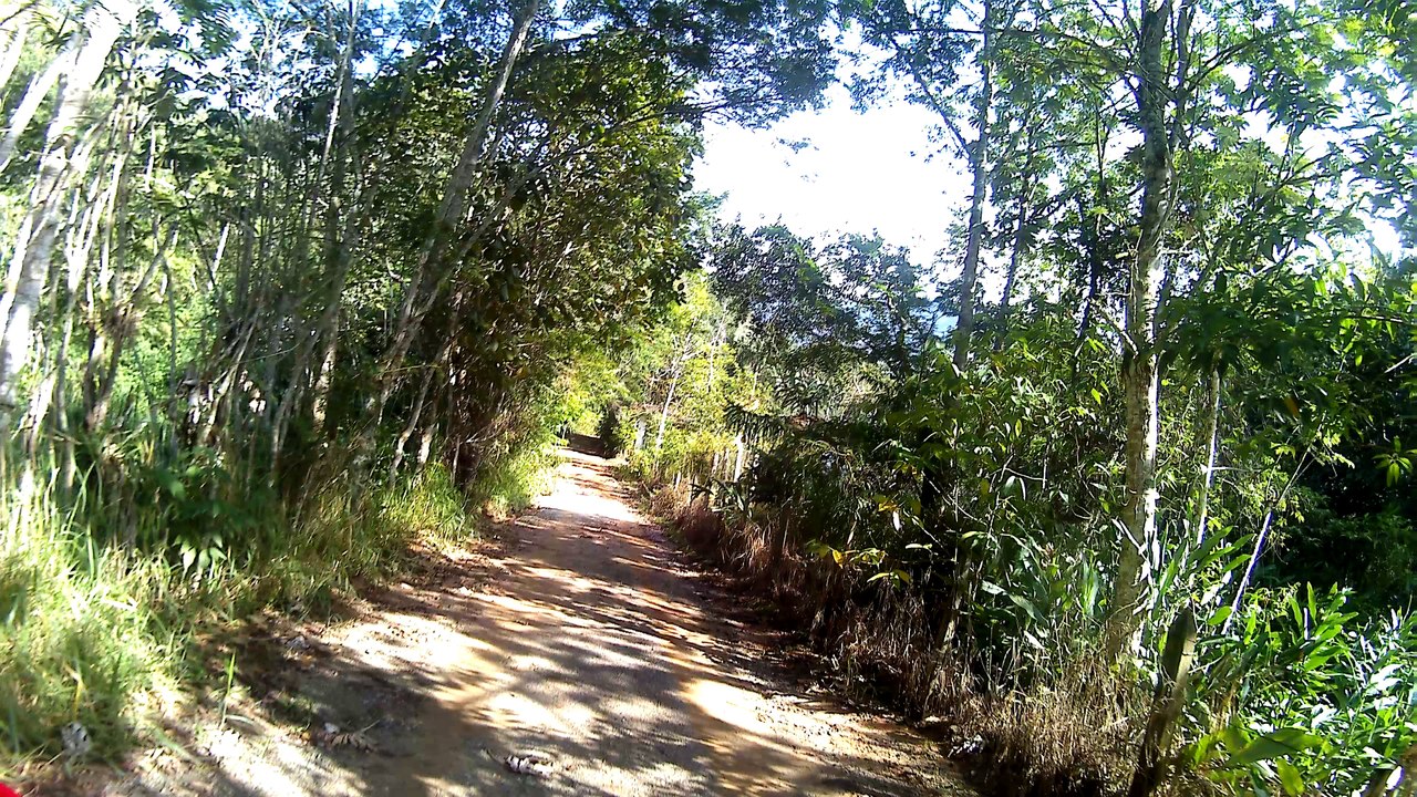 4k, Mtb, Single Track, trilhas da Fazenda Esmeralda, 12 bikers, (96)