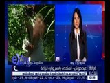 غرفة الأخبار | الزراعة تنفي سحب مشروع تطوير الري الحقلي