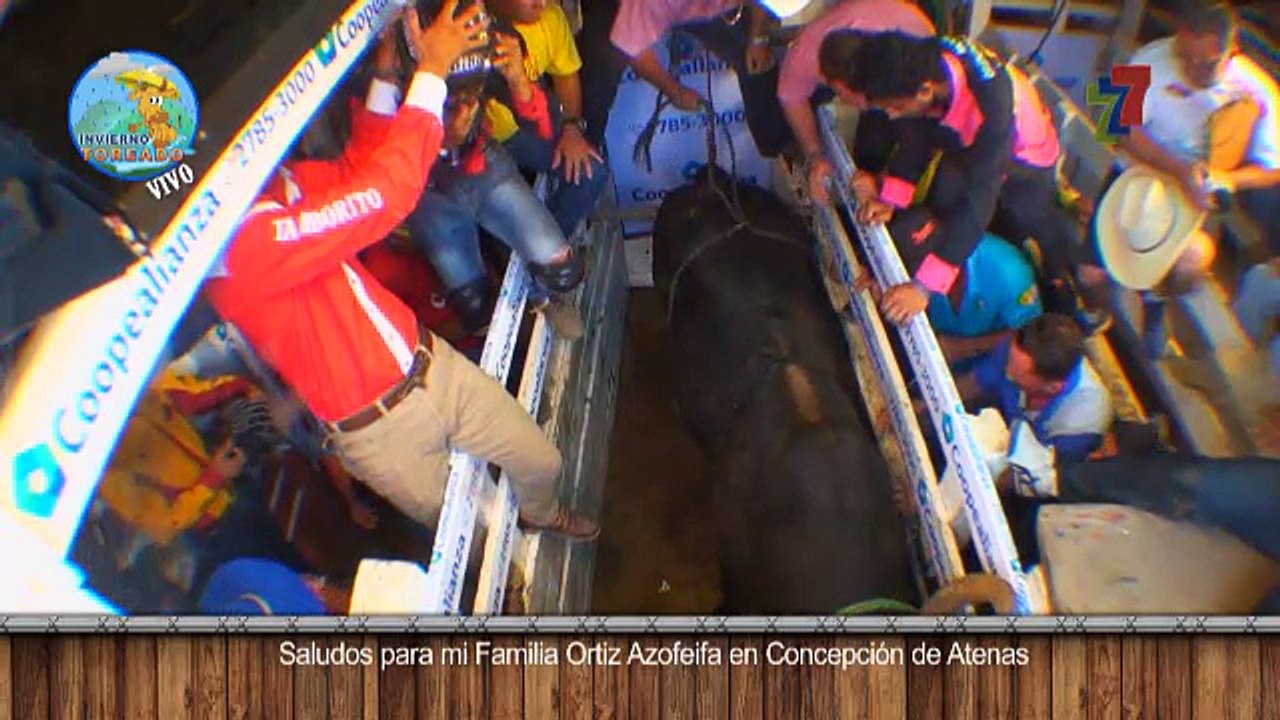 toros-carapalida-060517
