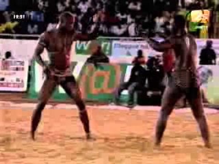 Lutte 06 avril D. Kaire  vs D. Mbotte