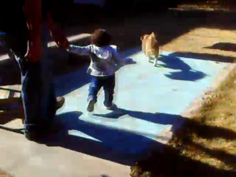 Mis primeros pasos...