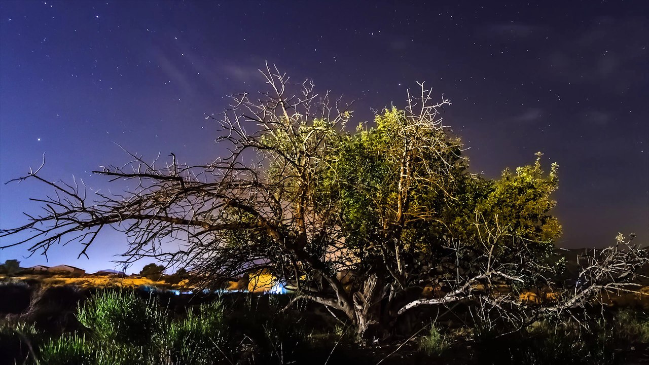 TIMELAPSE LANDSCAPES 2017