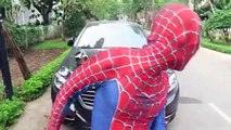 (7)_King Kong Attack Spiderman! Spiderman Venom Joker Hulk Kong Kills Superheroes Children Action Movie