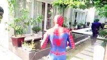 (9)_ Lion Chase Spiderman! Giant Lion in real life Spiderman Hulk Venom Joker Superheroes Children Action