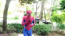 (8)_ Lion Chase Spiderman! Giant Lion in real life Spiderman Hulk Venom Joker Superheroes Children Action