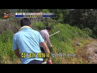 집 나간 벌들을 찾는 헌터![뉴 코리아 헌터] 1회 20160609