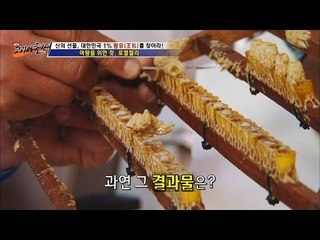 최고의 로열젤리를 먹고 자란 유충?![뉴 코리아 헌터] 1회 20160609