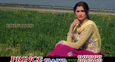 Pashto New Song 2017 Album Za Cha Yaarana Wakro - Che Pata Mayenedo