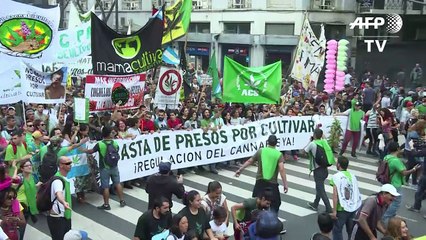 Marcha de la marihuana en Argentina pide legalizar el cultivo
