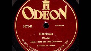 Narcissus-Dajas Bela Orchestra