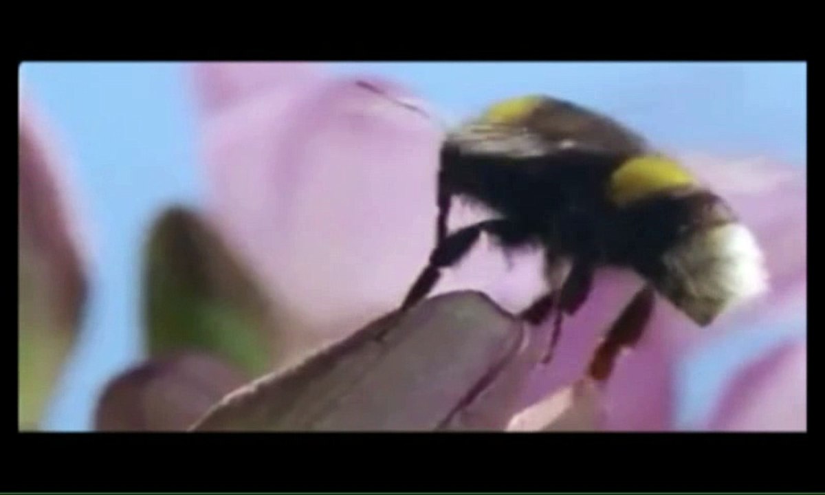 Frankie Goes To Hollywood - Relax Mix (Extender Version)