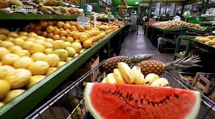 Игры разума. Решать вам