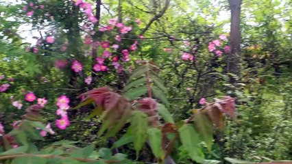 Jammu and Kashmir Tourism