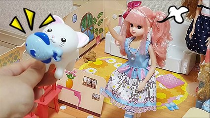 リカちゃん猫に魚をとられる！ミキちゃん マキちゃんと一緒においかけるよ！ ❤ Baby doll ごっこ 遊び 人形 トイキッズ 子供向け おもちゃ アニメ キッズ Toy