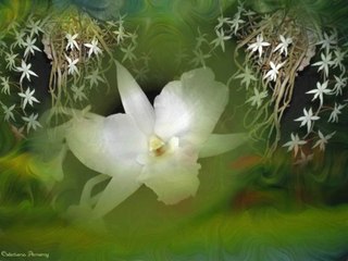 dedicace pour melodie "joyeux anniversaire ma melie" mamoune......