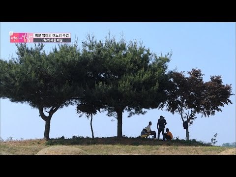 못 말리는 아내 바라기 아들 [엄마의 봄날] 45회 20160606