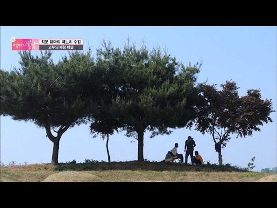 못 말리는 아내 바라기 아들 [엄마의 봄날] 45회 20160606