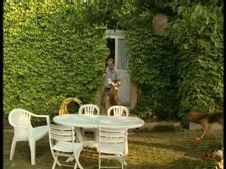 Chien de Saint Hubert et Fila Brasileiro