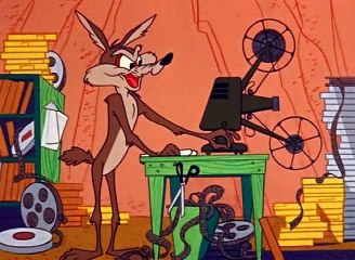 Struś Pędziwiatr - Road Runner