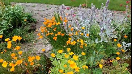 LG G3 Review - Best smartphone of 2014