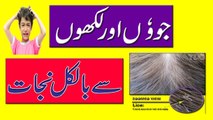 Lice On Hair || Lice On Hair Shaft || Sir Ki Juon Se Nijat In Urdu | Hindi