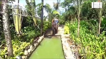 タビフク。 2017年4月19日 170419