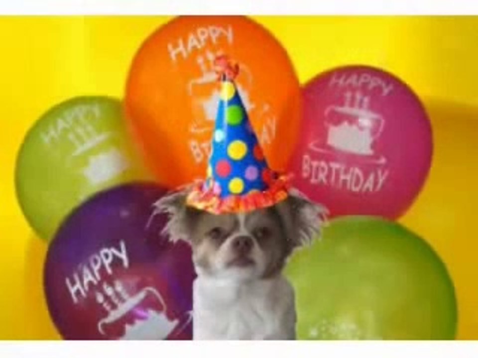 It's Your Birthday! Song Video Dailymotion