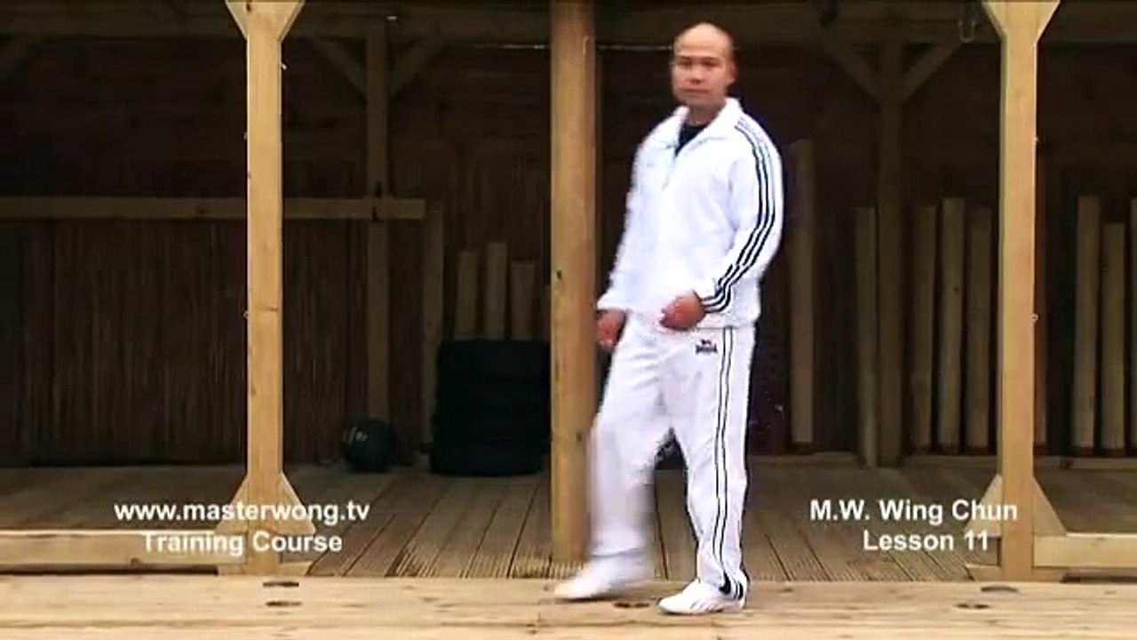 Wing Chun for beginners lesson 11 basic hand exercise static triple punch