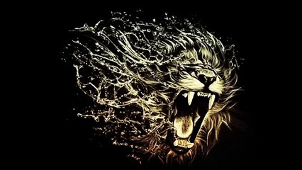 hairan ho jaoge jankr what does foreigners thinking about Indian minister narendra modi