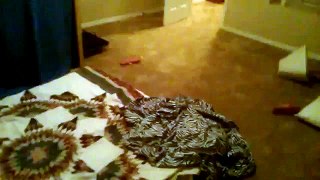 Poltergeist in our new house captured on video