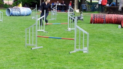 RL-LG05 3.Tag Agility 003