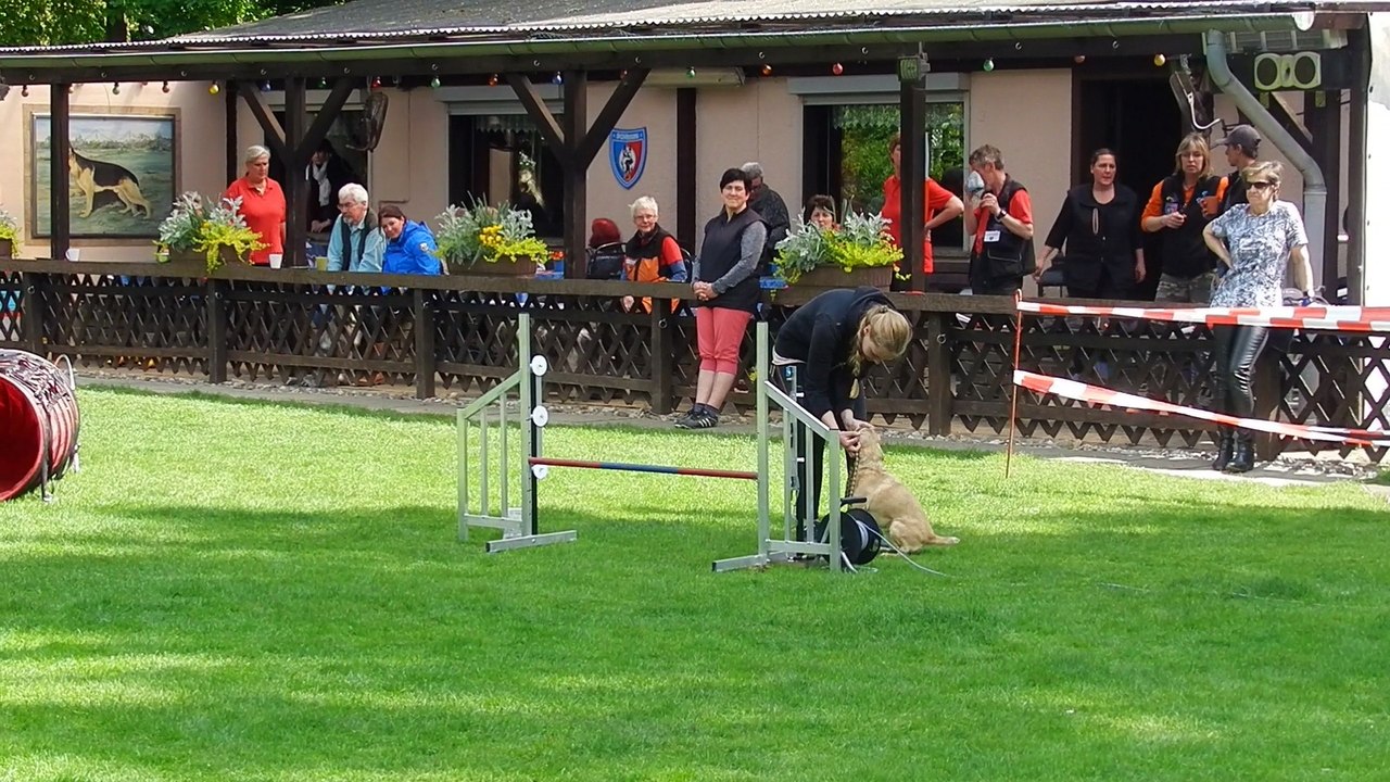 RL-LG05 3.Tag Agility 004