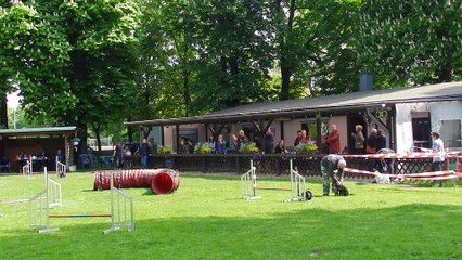 RL-LG05 3.Tag Agility 005