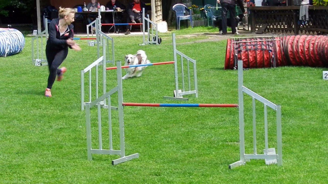 RL-LG05 3.Tag Agility 007