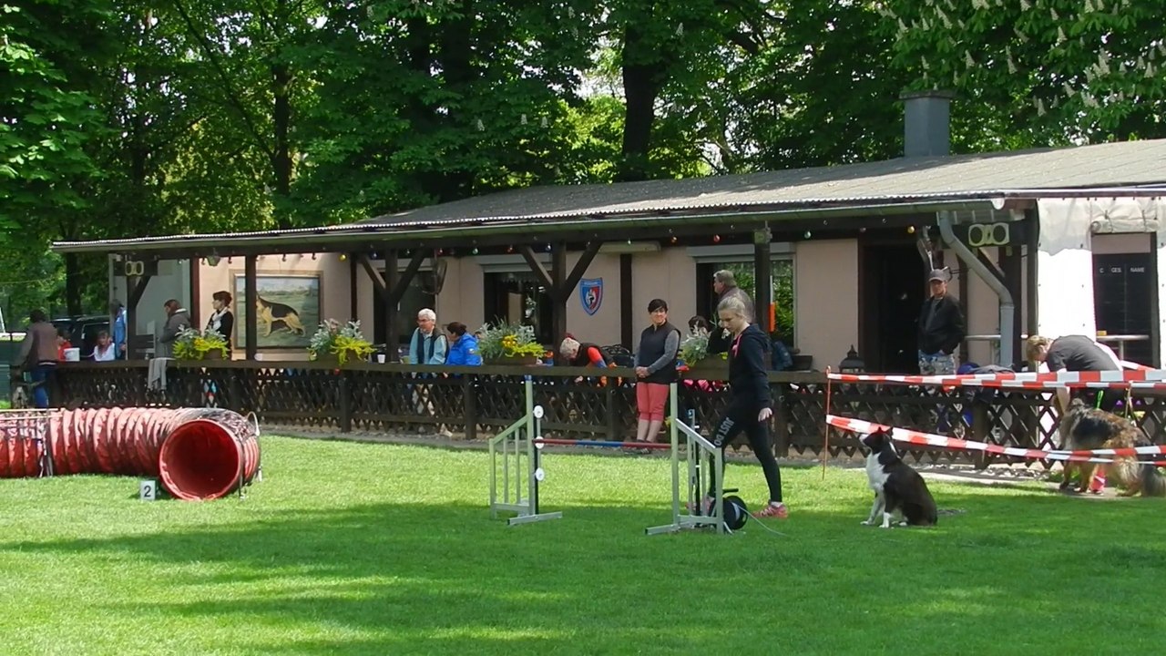 RL-LG05 3.Tag 013 Juno