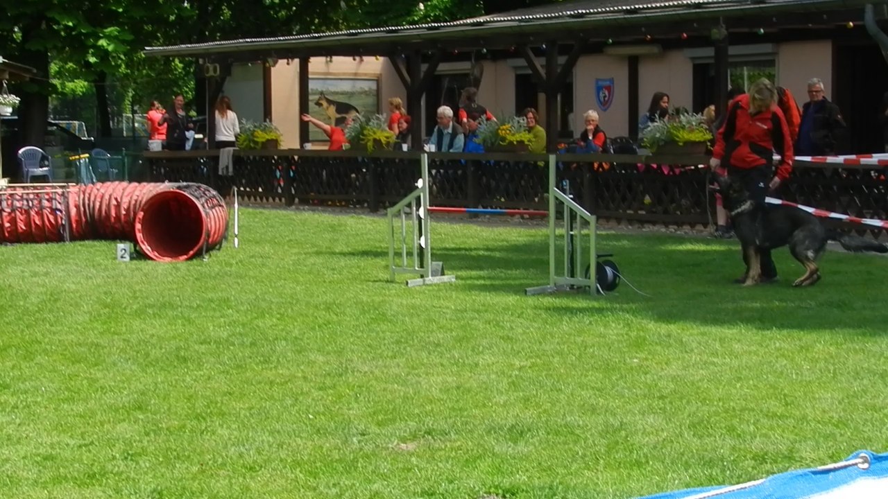 RL-LG05 3.Tag Agility 009