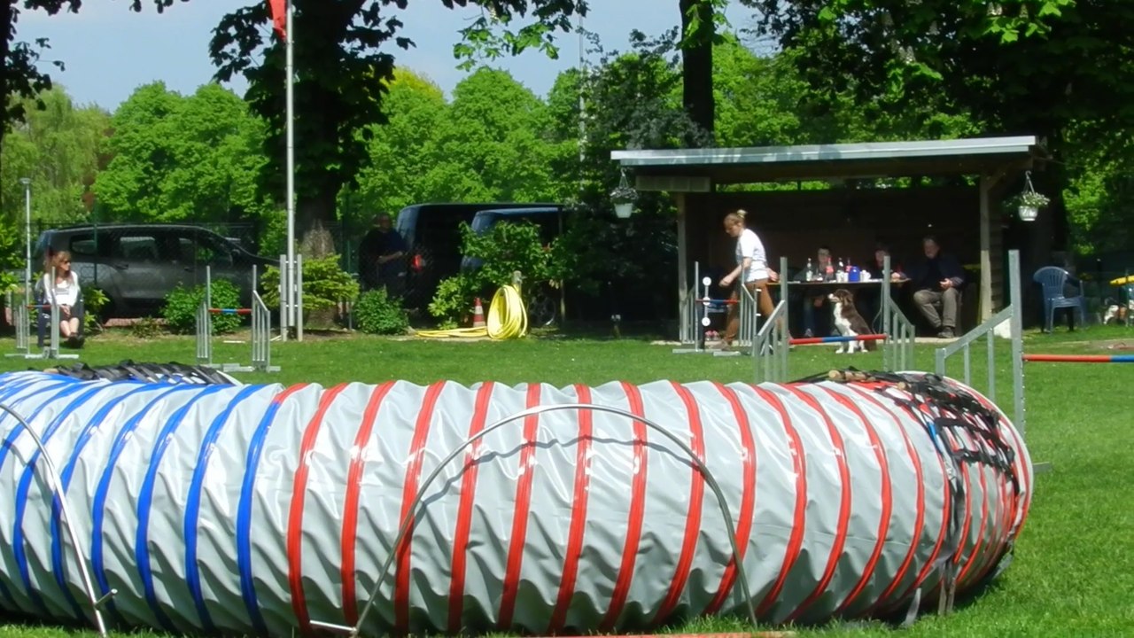 RL-LG05 3.Tag Agility 012 Mila