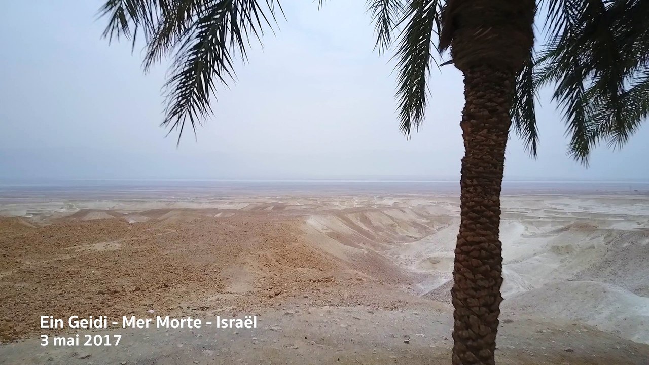 Ein Geidi - Mer Morte - Israel