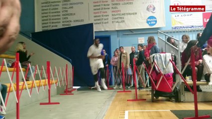 NM1 (play-offs). L'Ujap en demi-finale contre Rueil