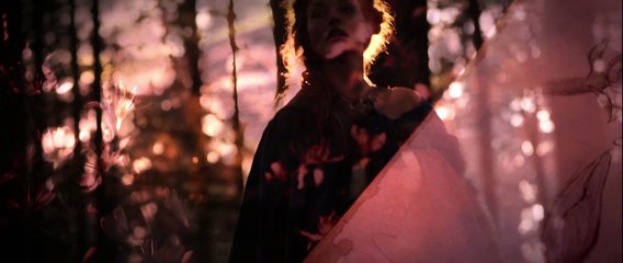 Tomorrowland Belgium 2016_2