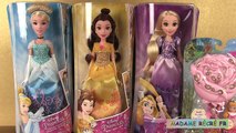 Princesses Disney Poupées Hasbro Paillettes Maquillage de Cendrillon, Raiponce, Belle