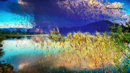 Liên khúc Khi Không & Trách Người Trong Mộng Karaoke HD