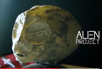 Les momies de Nasca et Alien Project